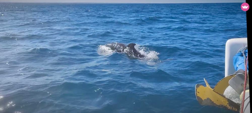 Shooting Fotografico in Catamarano