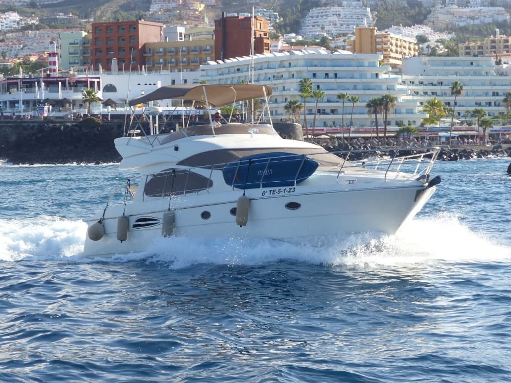 Tenerife’s Best Views: 6h Cruise to Acantilados de Los Gigantes