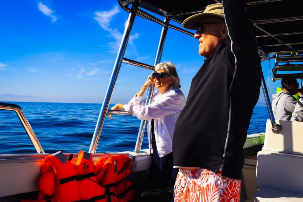 One day around Puerto Vallarta: Enjoy 9h of discovery on a motorboat