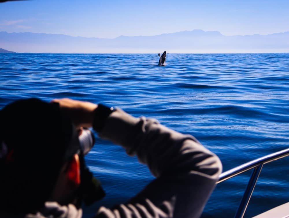 One day around Puerto Vallarta: Enjoy 9h of discovery on a motorboat