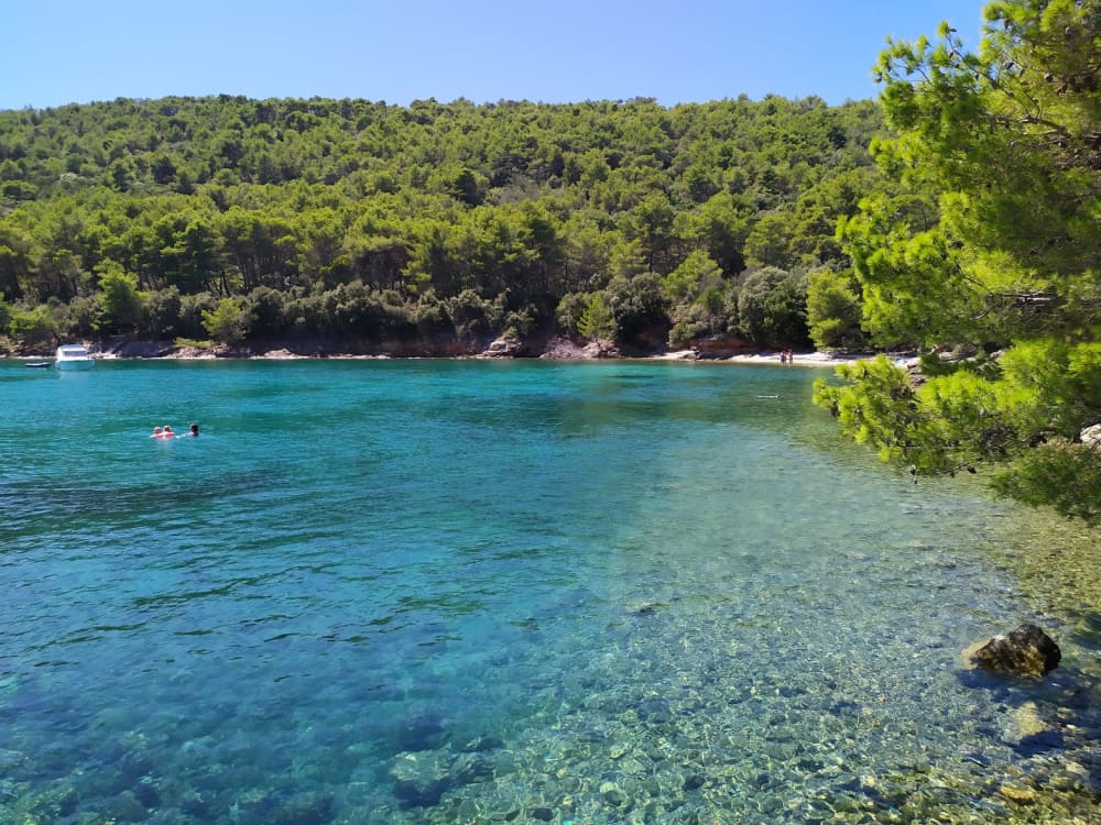 Excursion d'île en île au départ de Zadar : Blue Bays, Kali, Ošljak et l'îlot Galevac