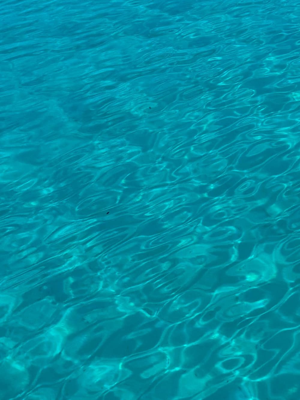 Excursion d'île en île au départ de Zadar : Blue Bays, Kali, Ošljak et l'îlot Galevac