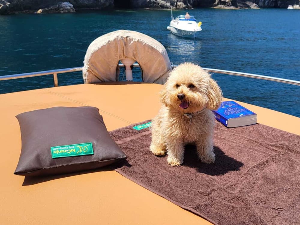 8,5 часов солнца и бирюзовых вод вокруг Л'Эскалы