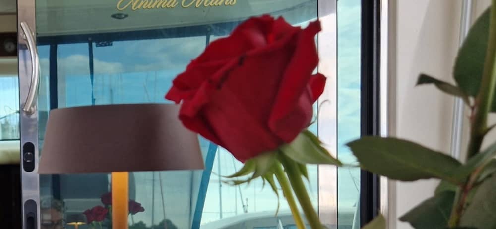 Luxe op zee: ontdek Novigrad aan boord van een luxe motorjacht.