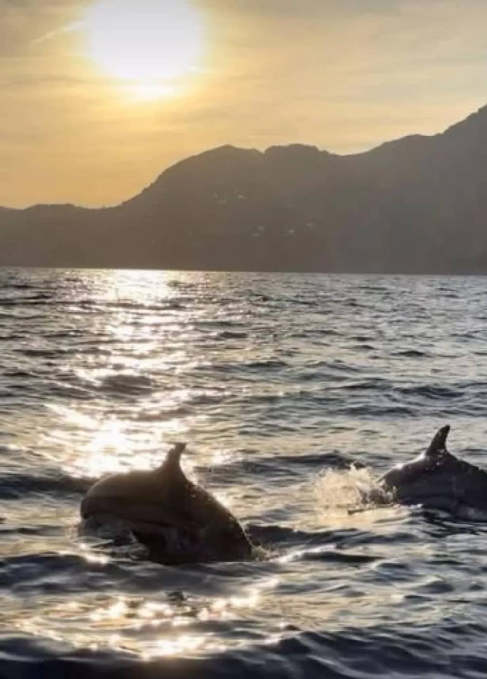 Heiratsantrag bei Sonnenuntergang in Amalfi: Eine romantische Kreuzfahrt ab Maiori