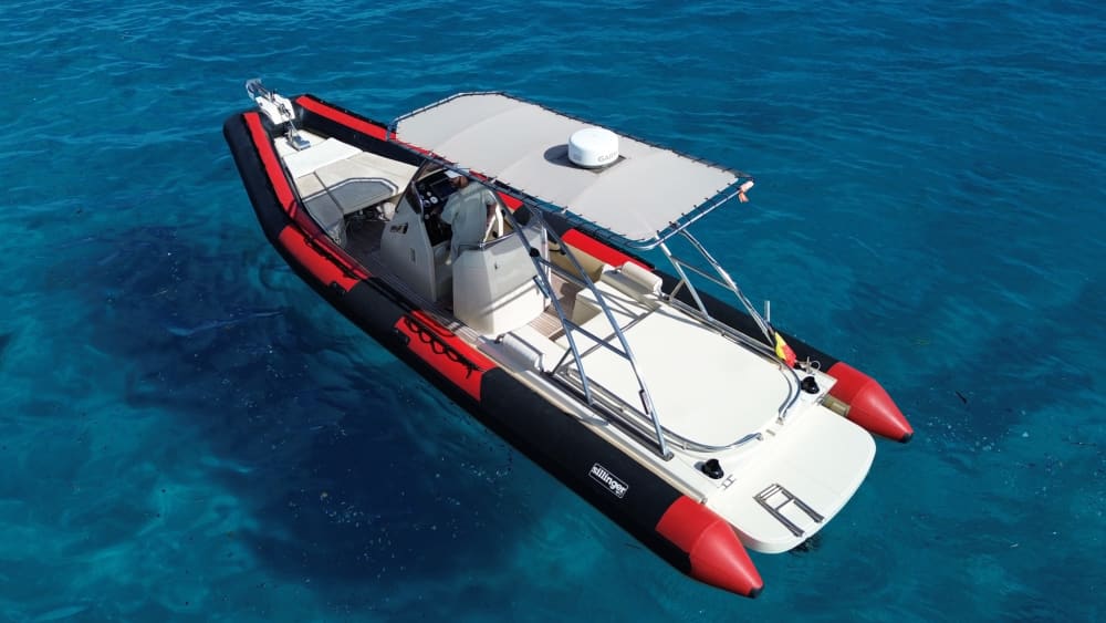 Marine Escapade: Half-Day Tour and Water Sports in a Sillinger 900XL from Cannes