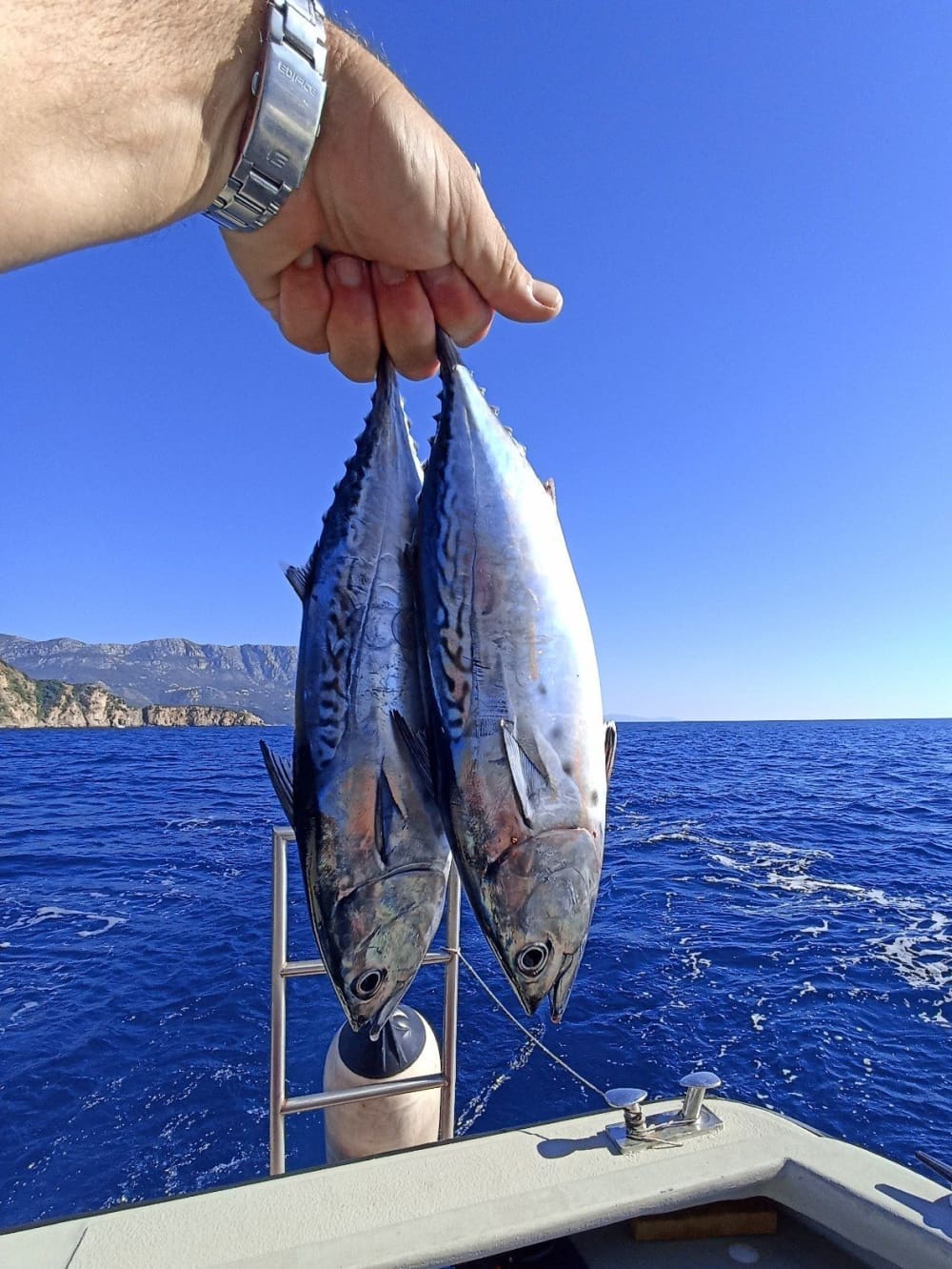 Aventura de barco com festa de dia inteiro: pôr do sol e karaokê noturno em Budva
