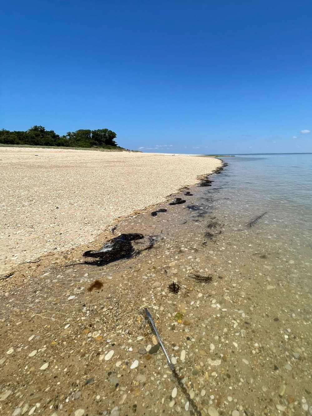 Pura gioia di navigare: vivi la magia di La Rochelle
