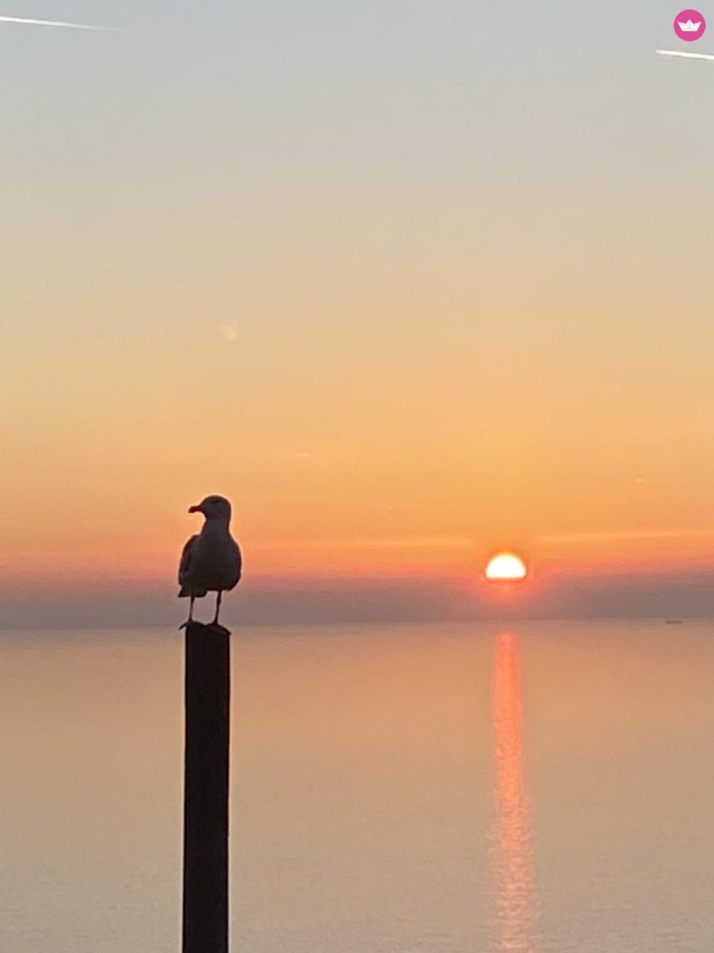 Sunset and Aperitif from Lerici: Magic off Portovenere