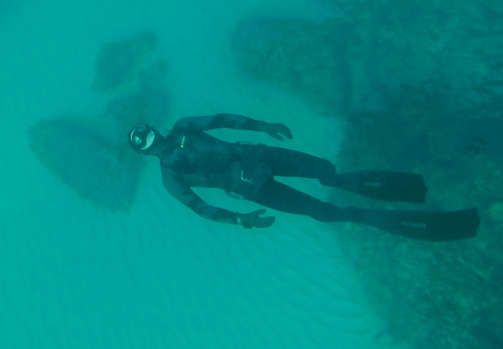 Sailing and snorkeling excursion in the Calanques