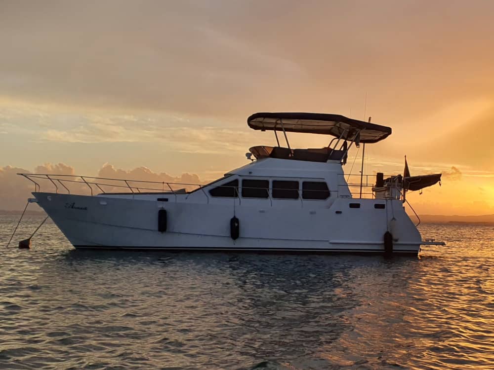 Mer, amour et soleil : une journée riche en émotions à bord d'un bateau à moteur