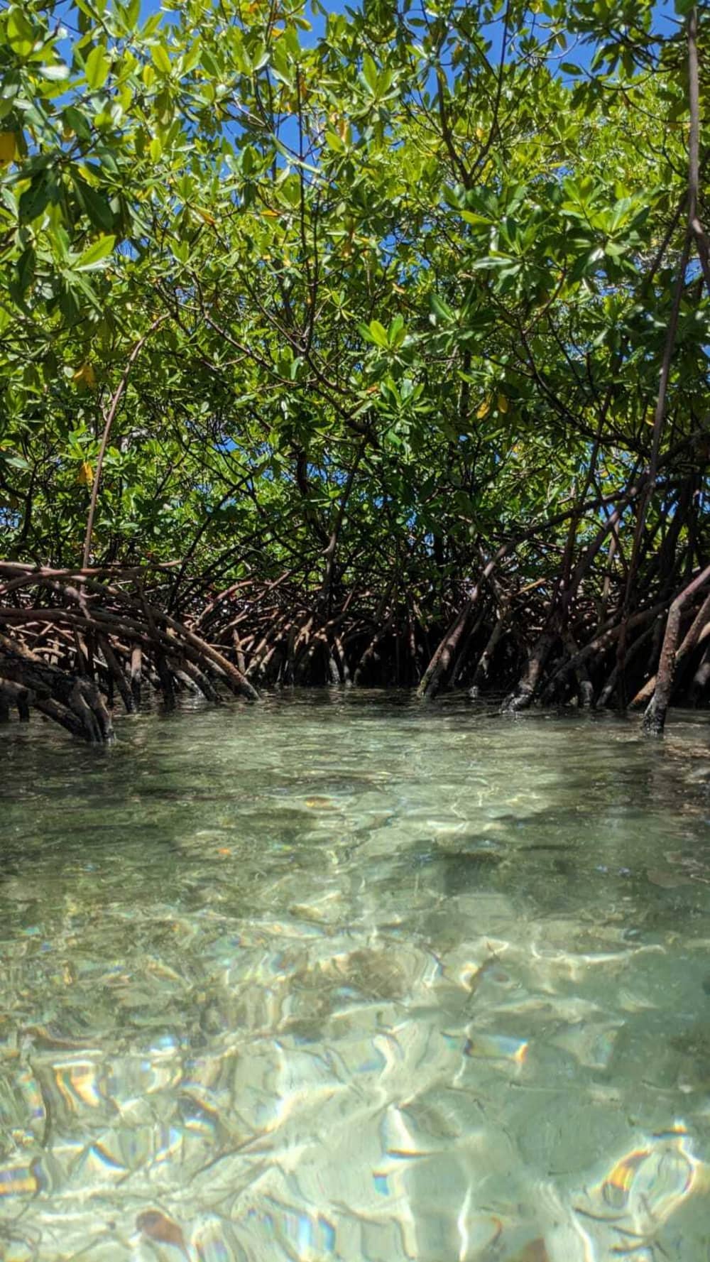 Odkryj wybrzeża Port-Louis: jednodniowa wycieczka na pokładzie łodzi motorowej