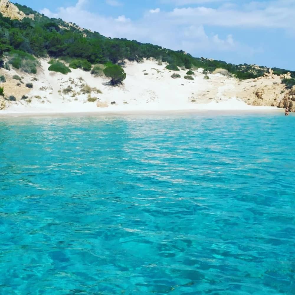 Aproveite o sol em um passeio de barco de 8h30 em Santa Teresa Gallura.