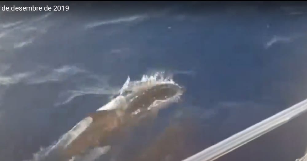 Esperienza di navigazione di un'intera giornata su una barca a vela a Mataró