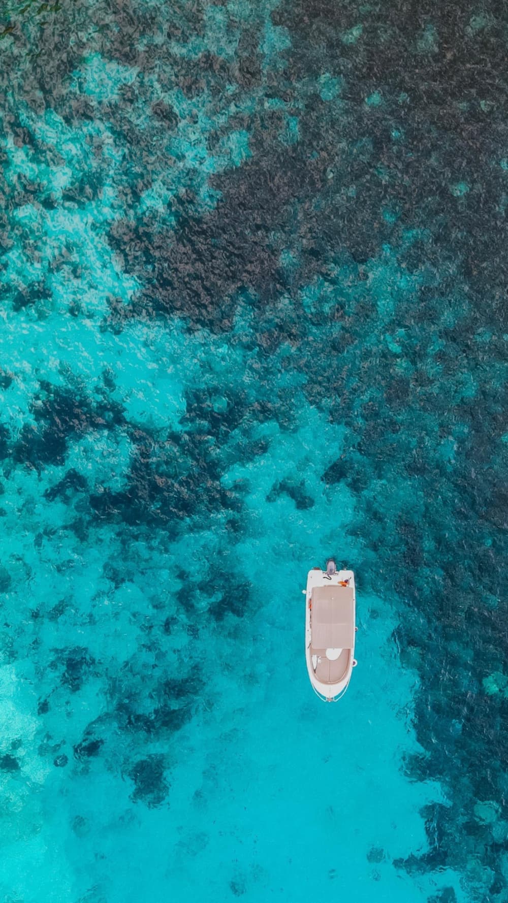 Проведите целый день на моторной лодке на Мальте.