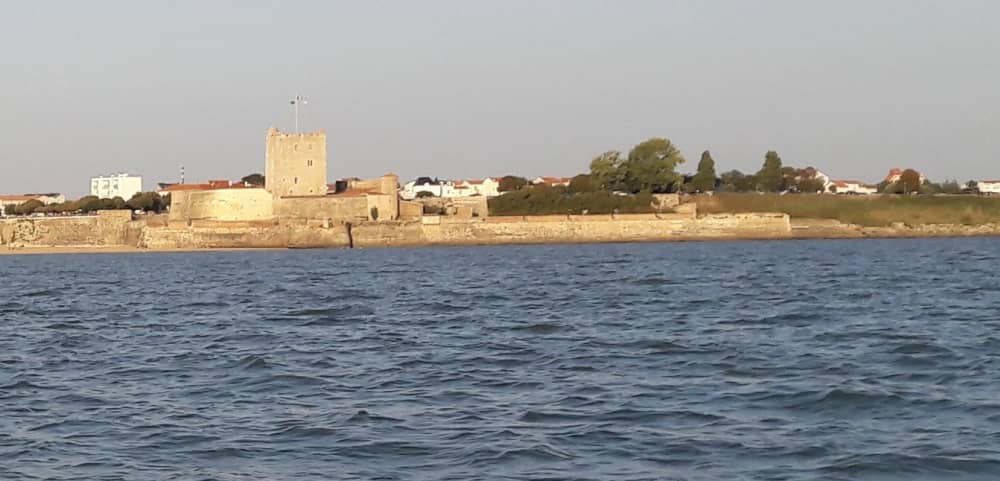 Profitez de 4 heures de soleil sur un bateau à moteur à Fouras