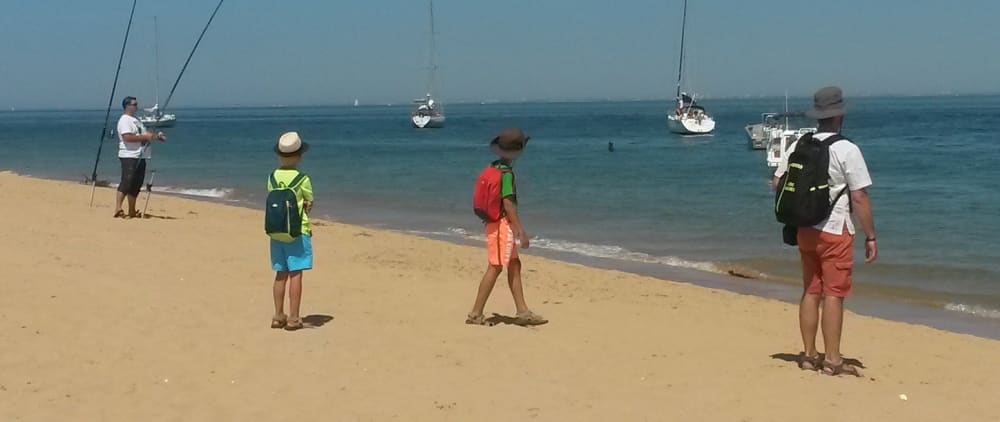 Profitez de 4 heures de soleil sur un bateau à moteur à Fouras