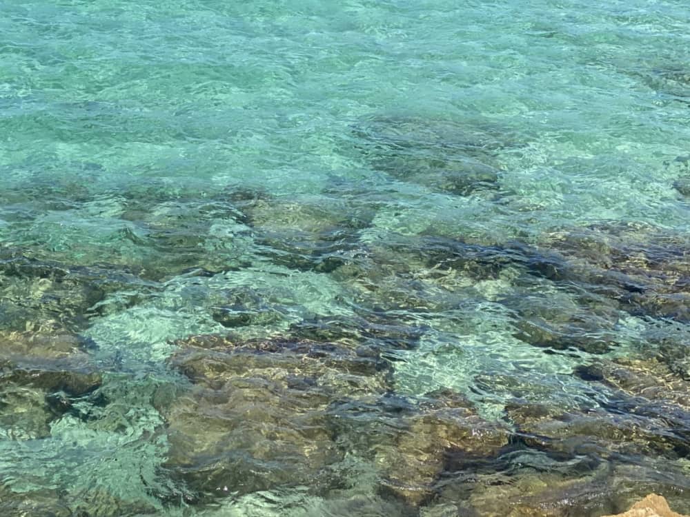 Enjoy a 4-hour Catamaran Experience: Pollensa Bay and Alcudia