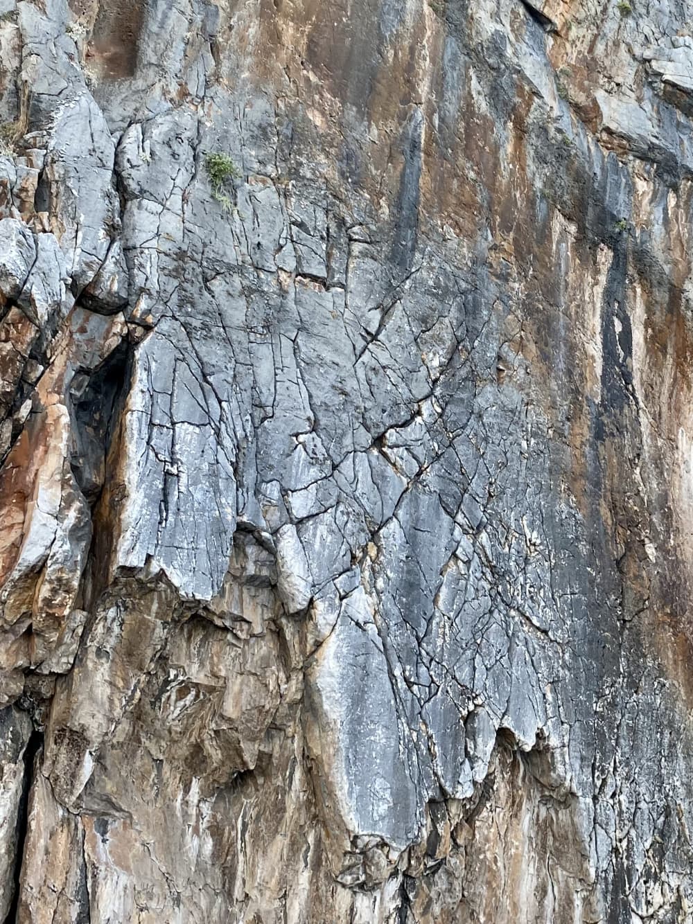 Meraviglie costiere di Kemer: un viaggio di un giorno intero tra baie e rovine (Kemer - Olimpos - Porto Ceneviz - Cleopatra)