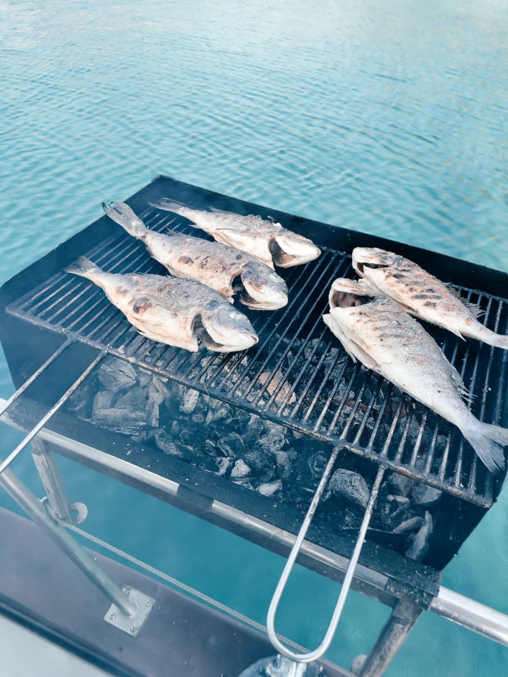 Sunset Cruise: Chrousso Port & Sithonia Riviera Adventure