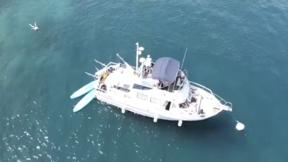 Ontspan in Argelès-sur-Mer: 9 uur zon op een motorboot.