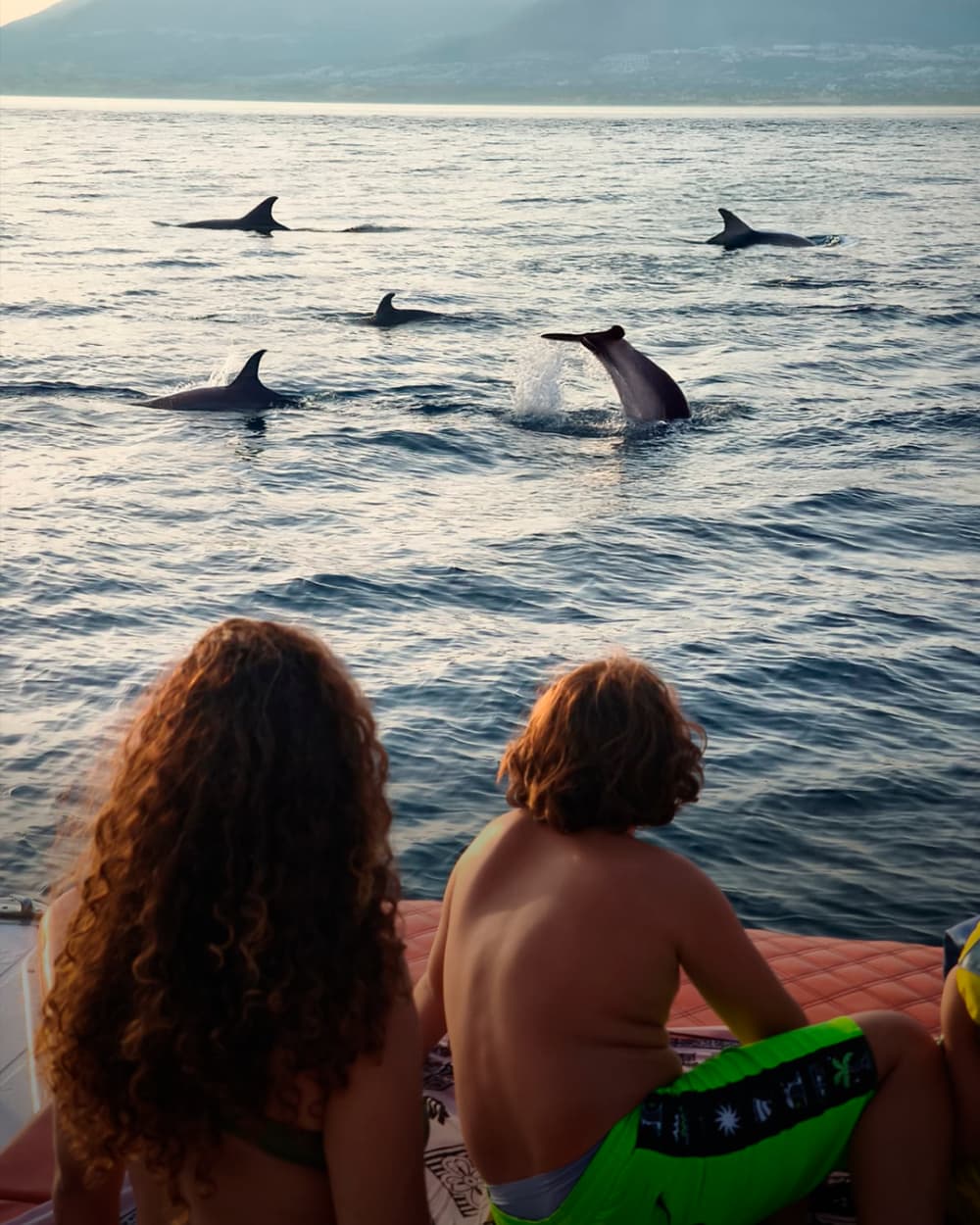 6-godzinna wycieczka po Costa del Sol