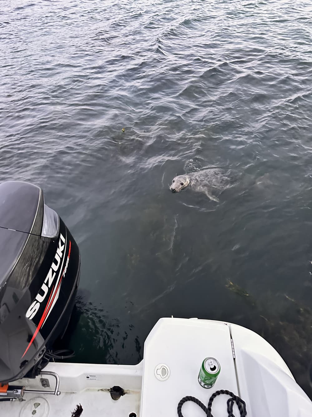 Small trip, big emotions: A refreshing half-day in Dublin on this Beneteau Antares 750