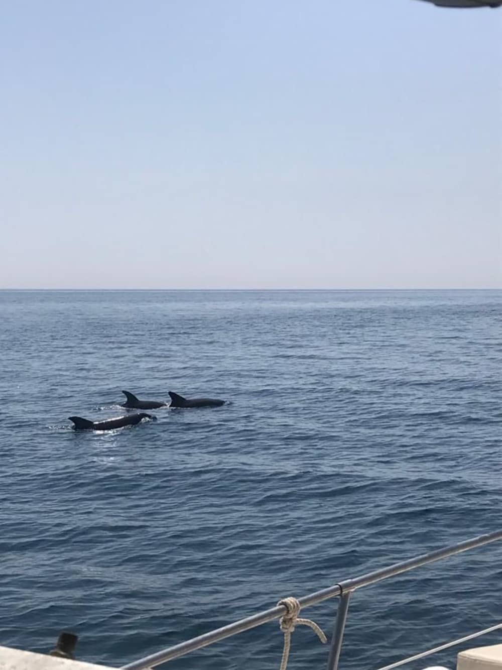 Marbella overdag – 4 uur openwaterplezier