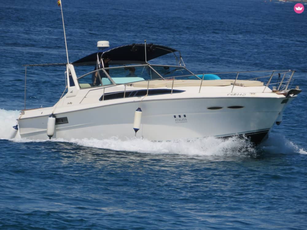 Marbella overdag – 4 uur openwaterplezier