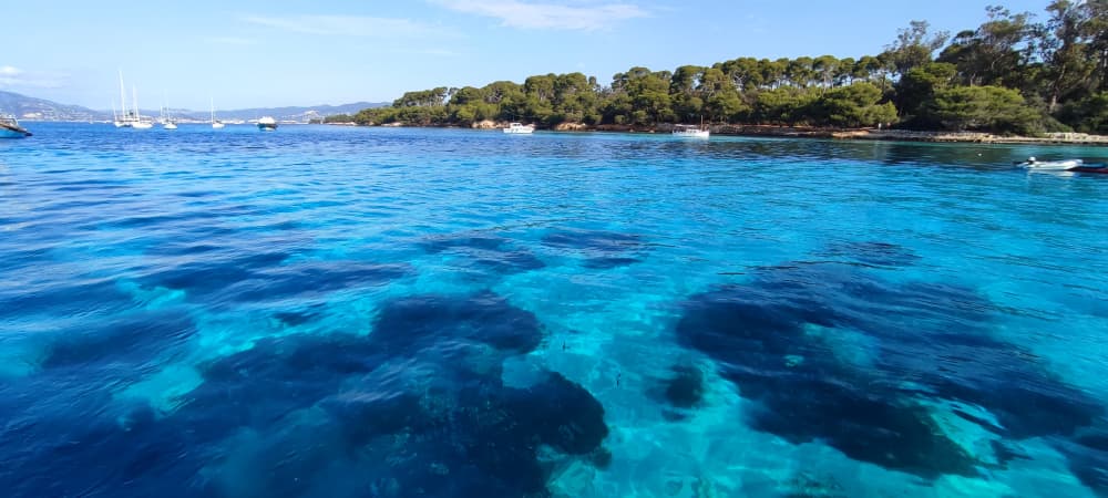 Discover the Lérins Islands, swimming, snorkeling, paddleboarding, exploring the coast between Antibes and the islands...