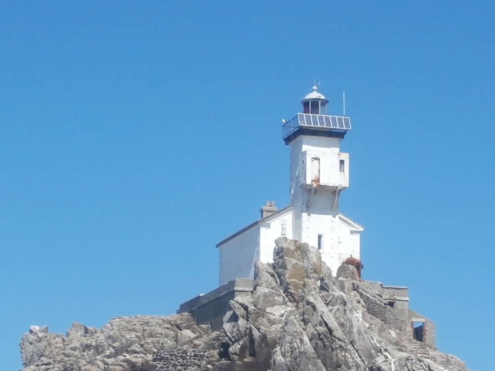 Louez un bateau à moteur pour 4 heures de plaisir