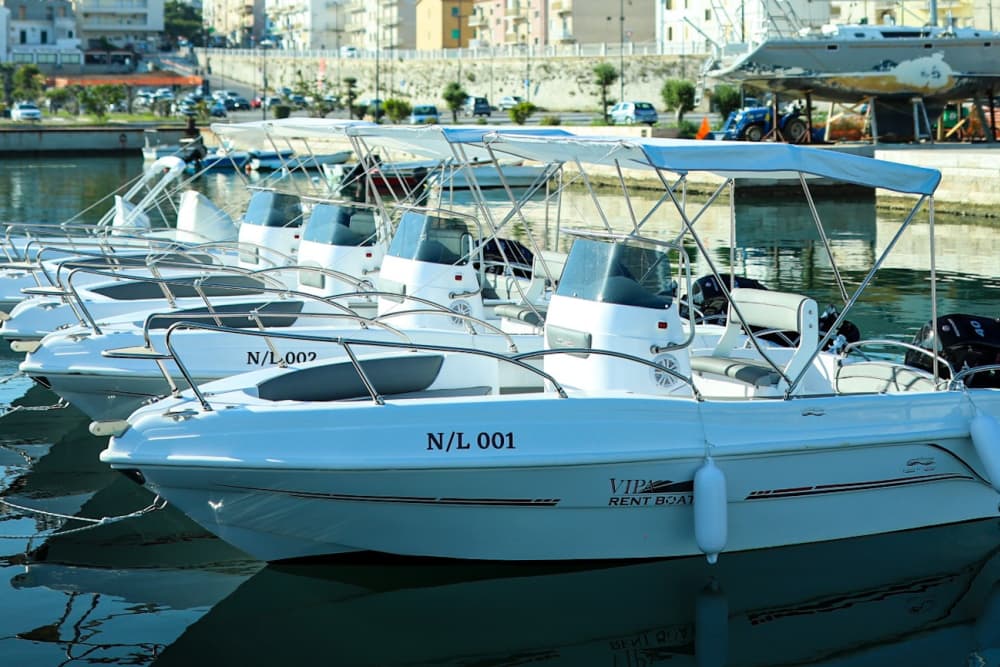 Découverte de Vieste en demi-journée : Votre courte escapade en bateau à moteur