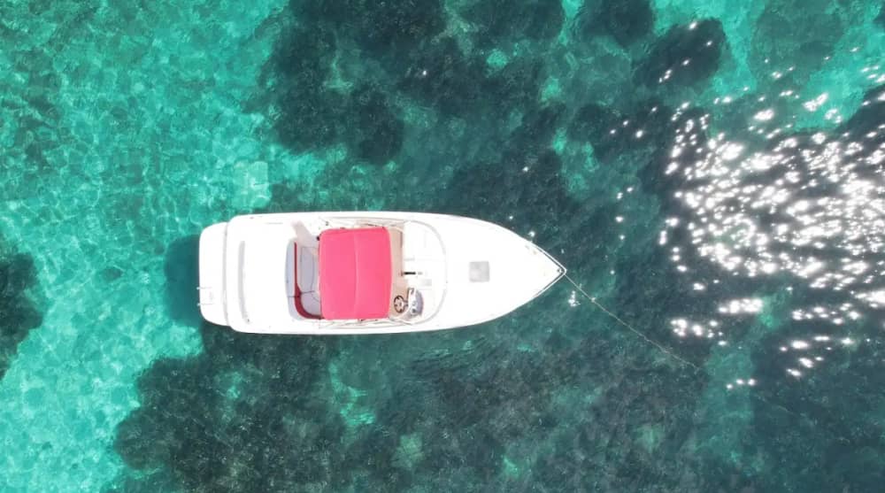Båtkryssning från Cannes: Esterel- och Lérinsöarna med snorkling