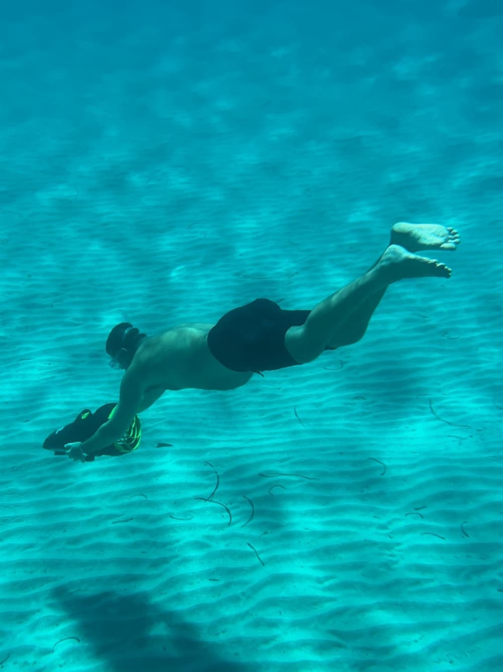 Εκδρομή μισής ημέρας - Ανακαλύψτε τη μαγεία της νότιας ακτής της Μυκόνου