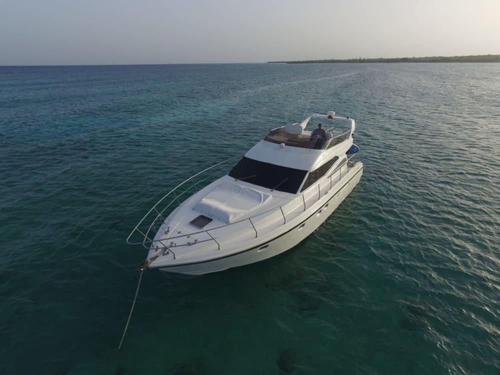 Lujo de medio día en un yate a motor.