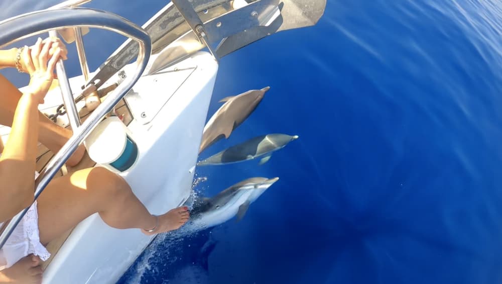 Esperienza di navigazione di un'intera giornata su una barca a vela a Salerno