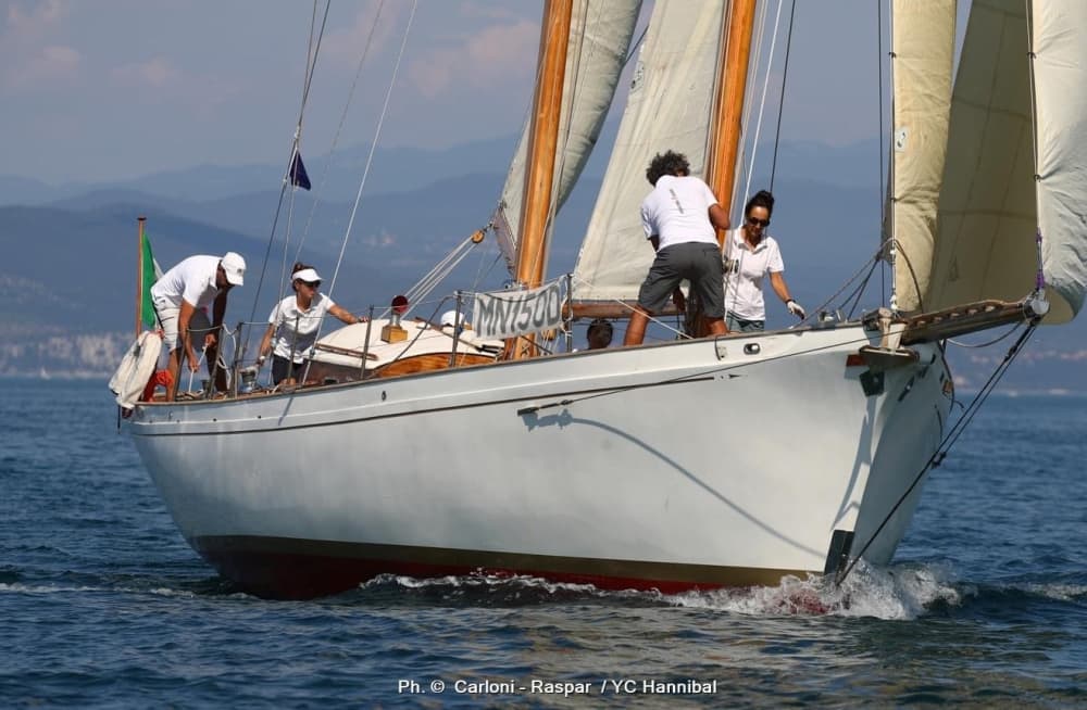 Ontdek Triëst tijdens een zeiltocht van een hele dag.