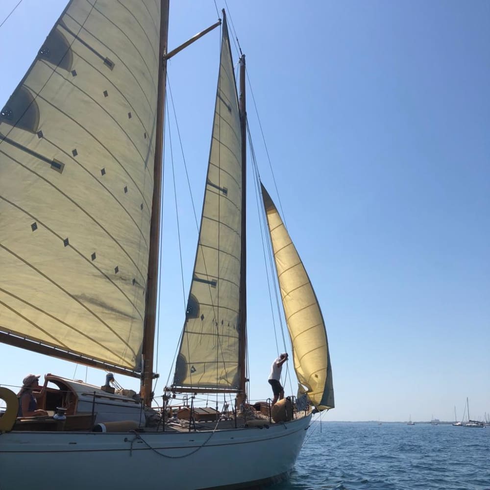 Ontdek Triëst tijdens een zeiltocht van een hele dag.