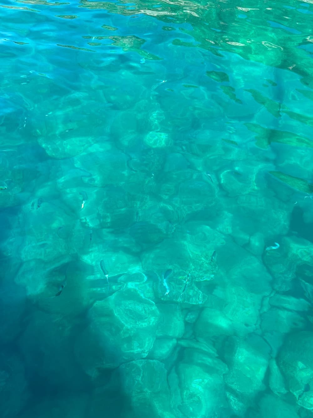 Tour exclusivo de Cinque Terre: una aventura de lujo desde La Spezia