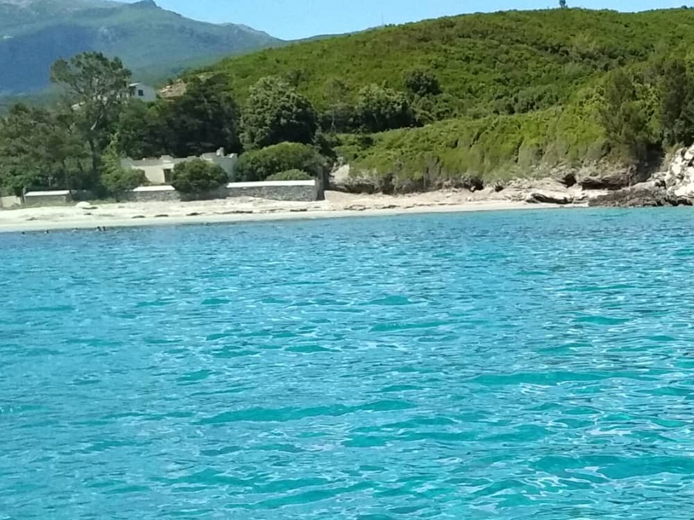 Segelvergnügen pur: Erleben Sie die Magie von Bastia