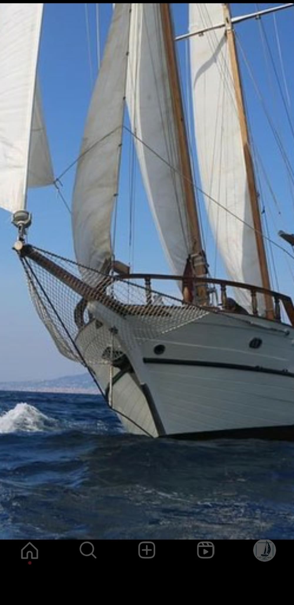 Costa Viola Boat Tour – Cala Janculla & Grotte da Scilla