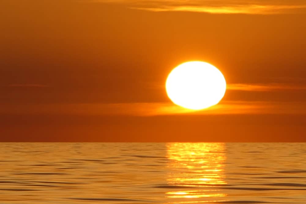 Private 3-stündige Delfin- und Weintour bei Sonnenuntergang
