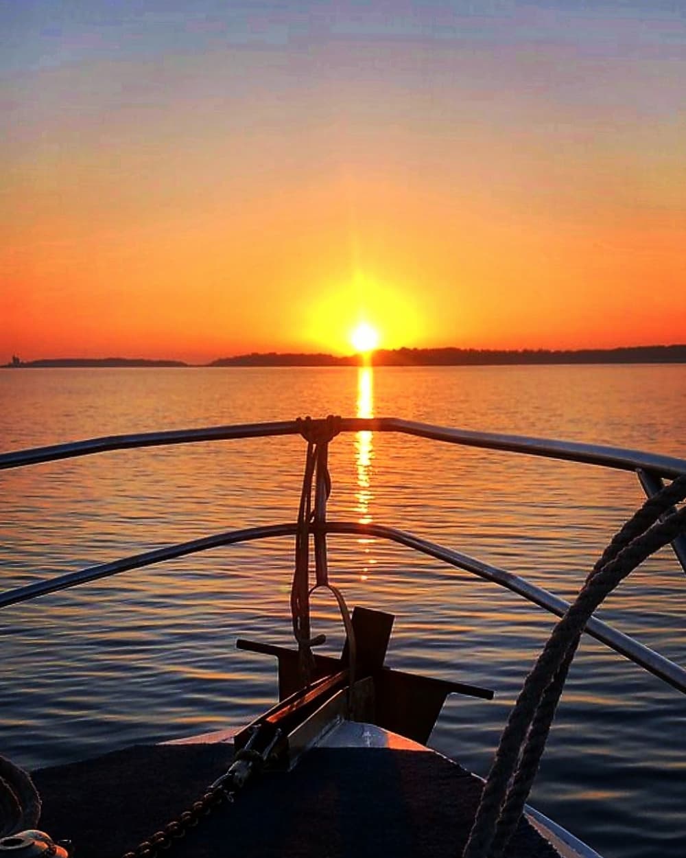 Private 3-stündige Delfin- und Weintour bei Sonnenuntergang