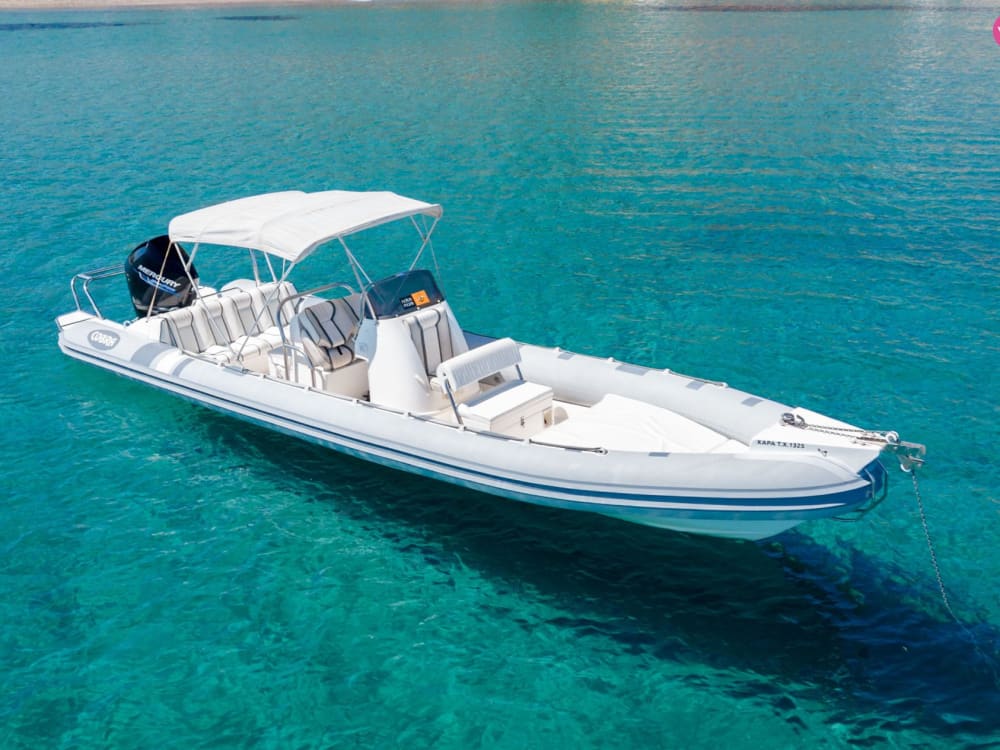 Heldagskryssning till Gramvousaön