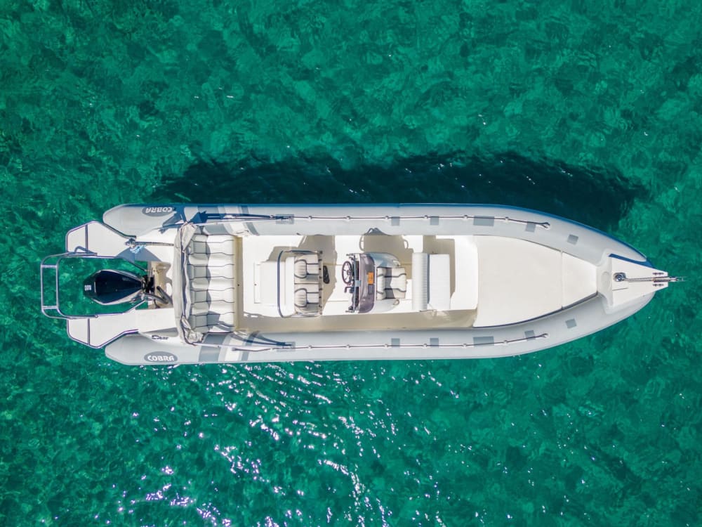 Heldagskryssning till Gramvousaön