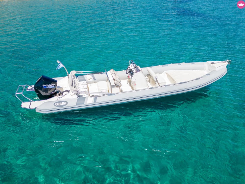 Heldagskryssning till Gramvousaön