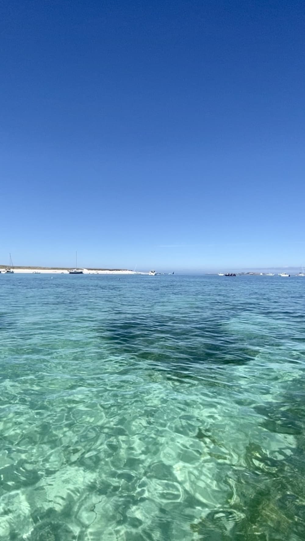 Le pur plaisir de la voile : Vivez la magie de Riec-sur-Belon