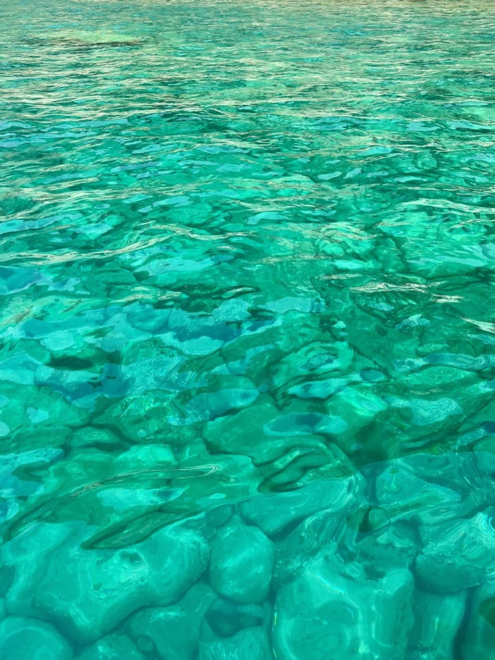 Tour Día Completo: Tour Gastronómico