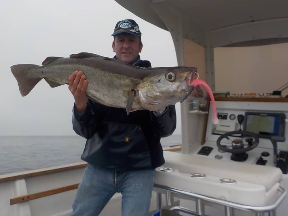 Prenez une demi-journée pour vous détendre sur un bateau à moteur à Penmarch.