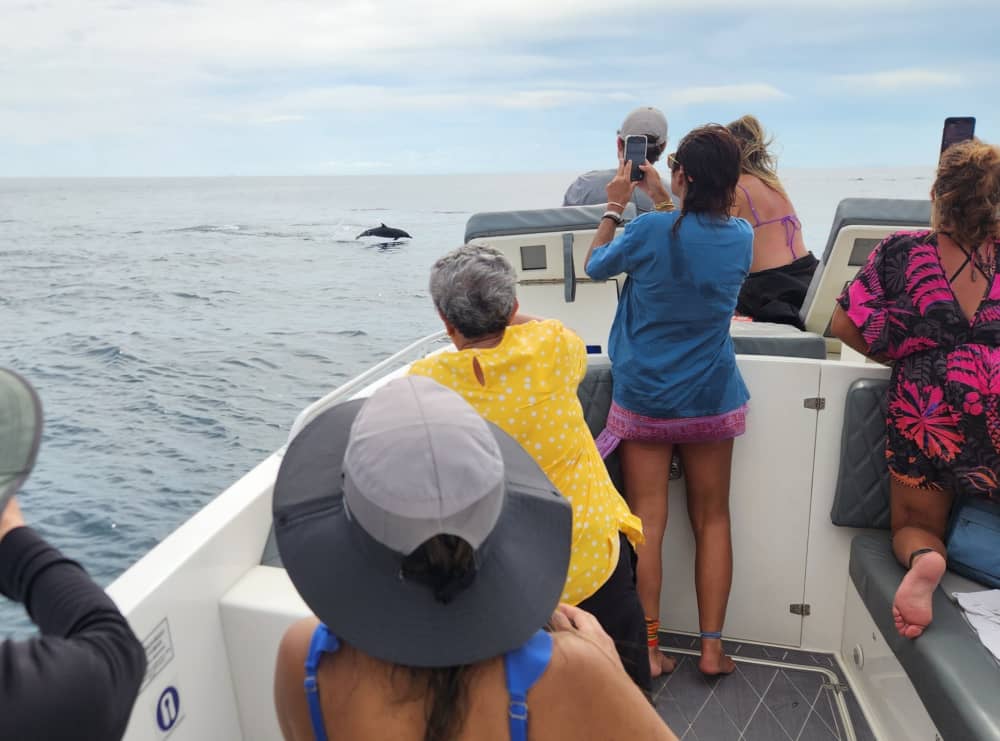 Votre bateau à moteur privé pour une journée autour de Panama City